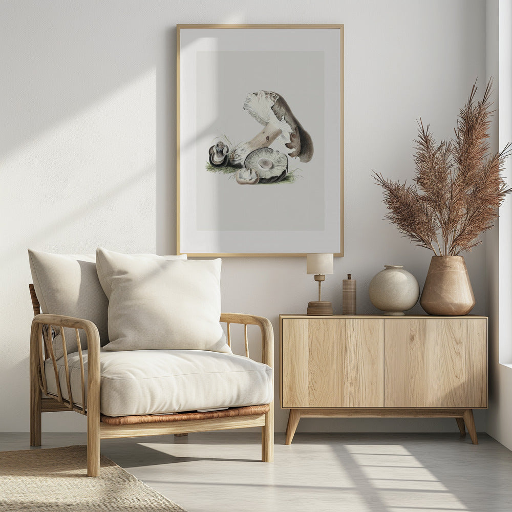 Vintage Agaricus Augustus Mushroom 50x70 | Poster
