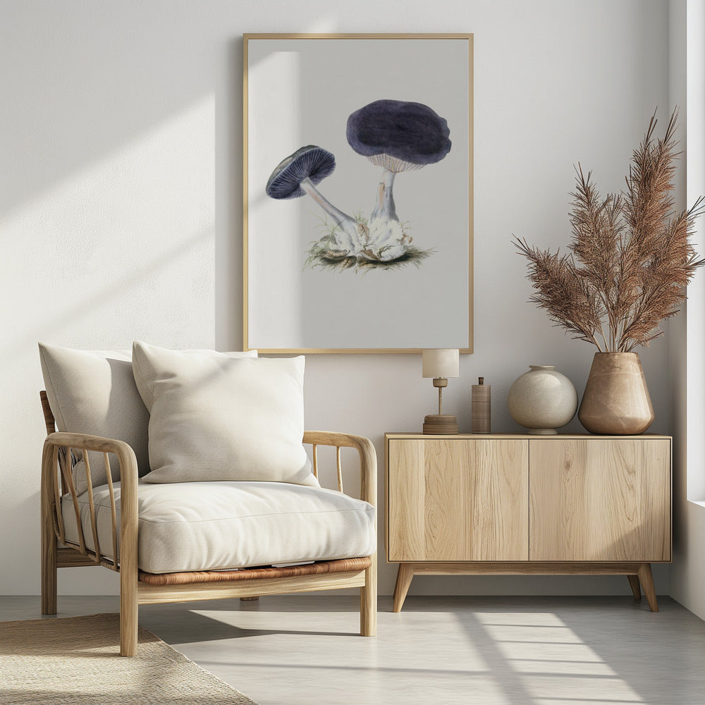 Vintage Violet Webcap Mushroom | Poster