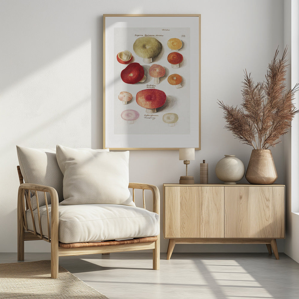 Boleten, Boletales Standing | Poster