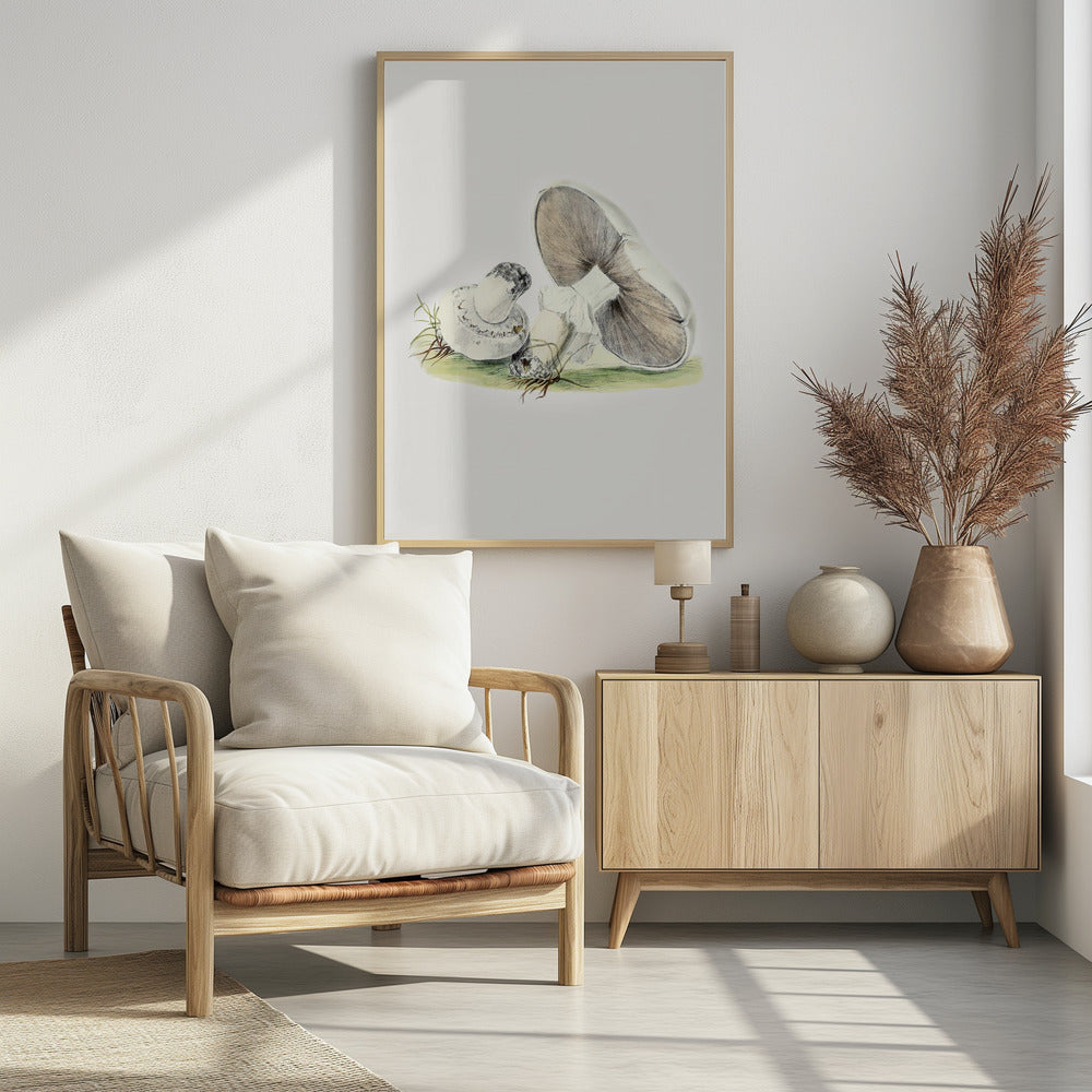 Hand Drawn Horse Mushroom Standing | Poster
