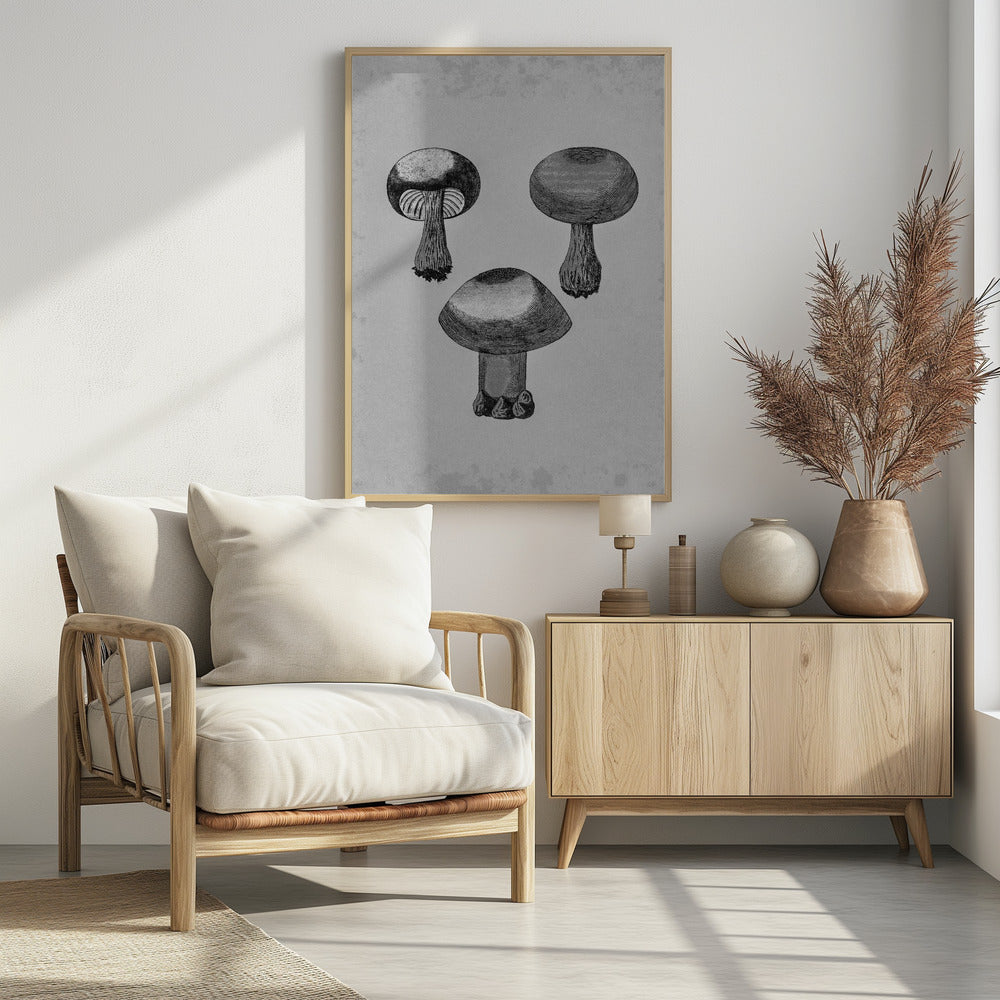 Violet Webcap Mushroom | Poster