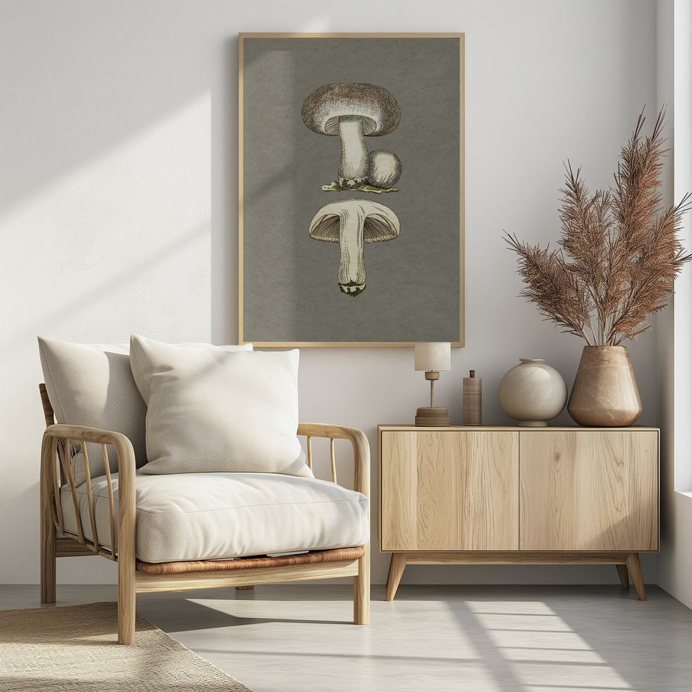 Field Mushroom | Poster