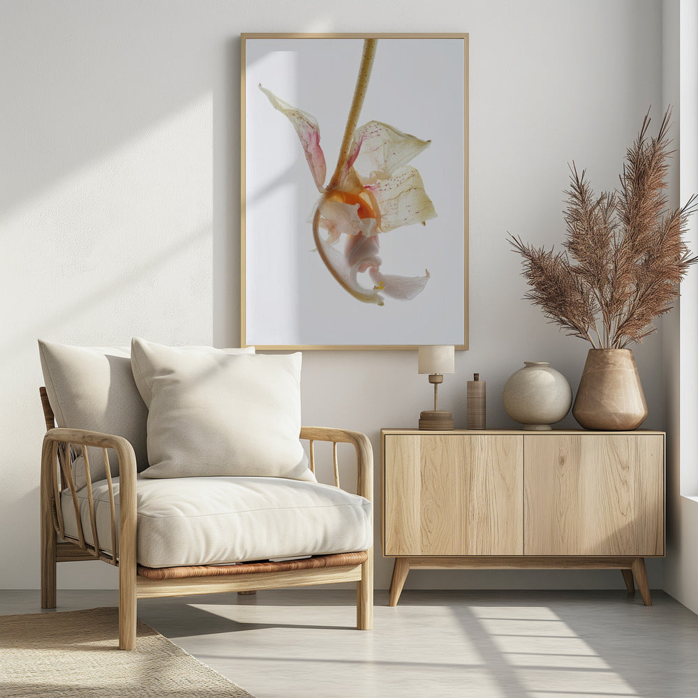 Petal Symphony | Poster
