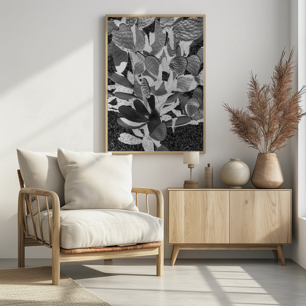 Prickly Patterns | Poster