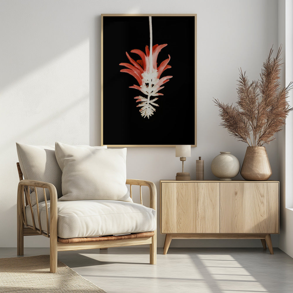 Petal Skeleton Fusion | Poster