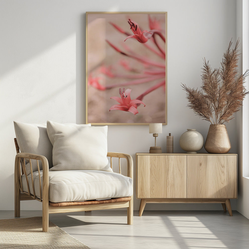 Petals in Focus | Poster