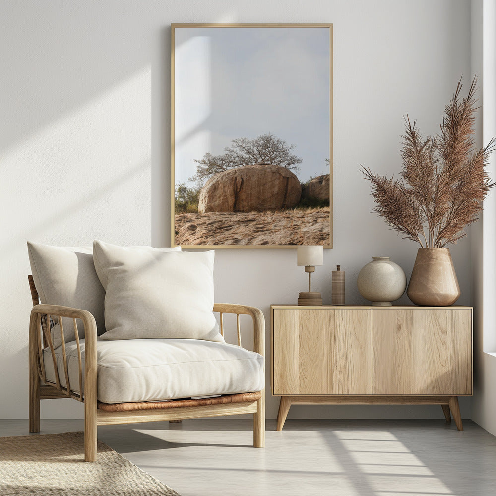 Tree on a Boulder | Poster