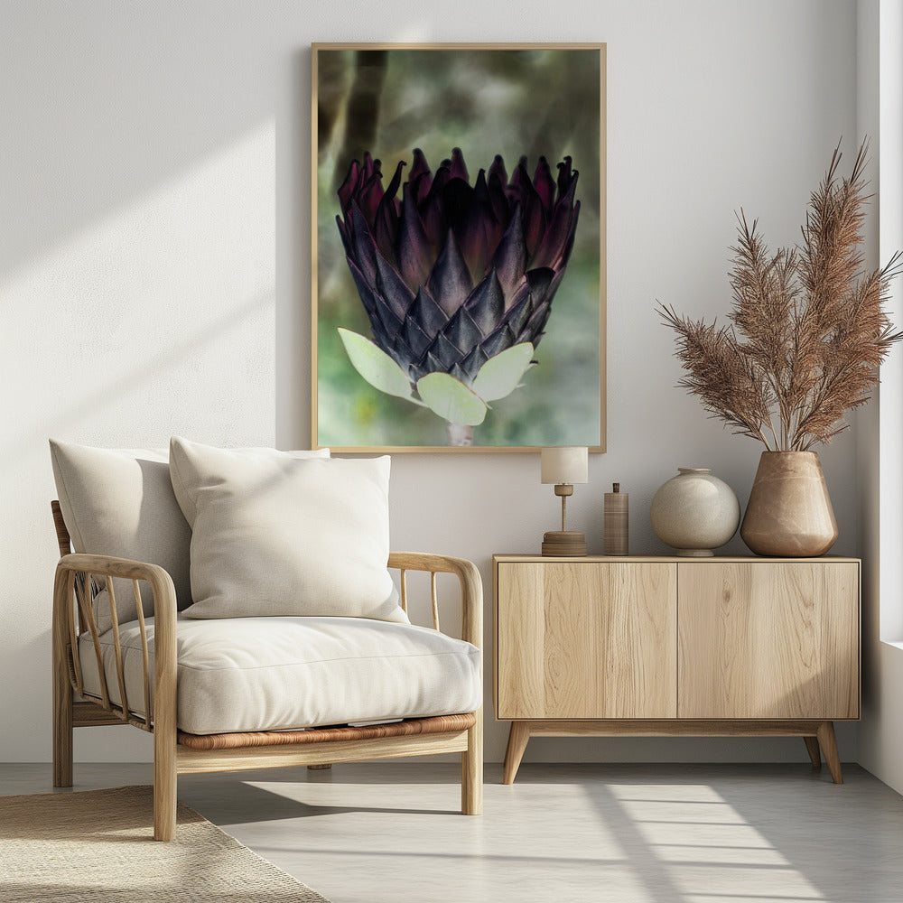 Shadowed Blossom | Poster