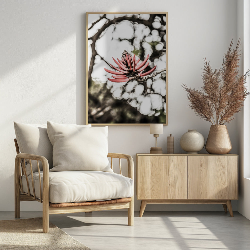 Crimson Blossom | Poster
