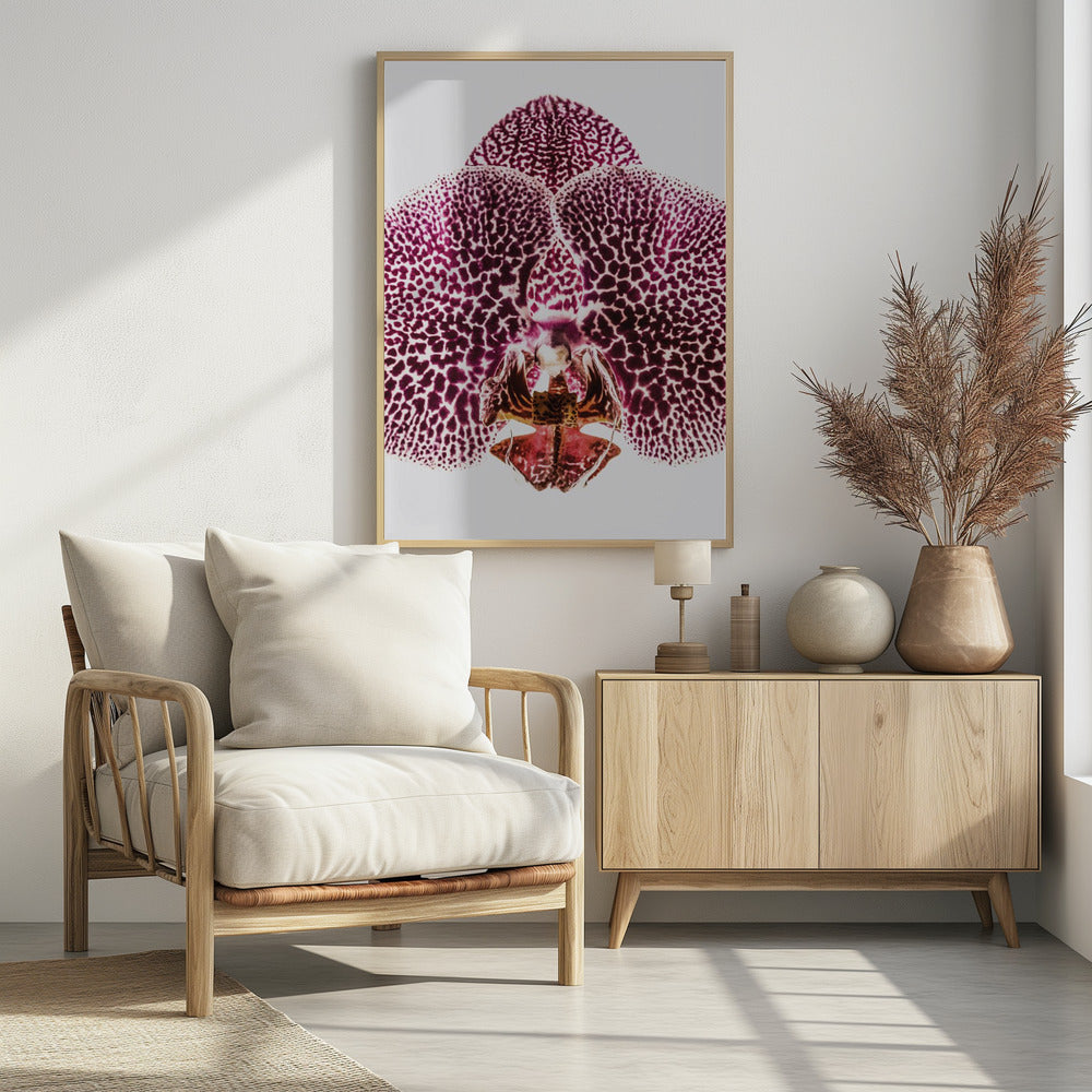 Petal Symmetry Burst | Poster