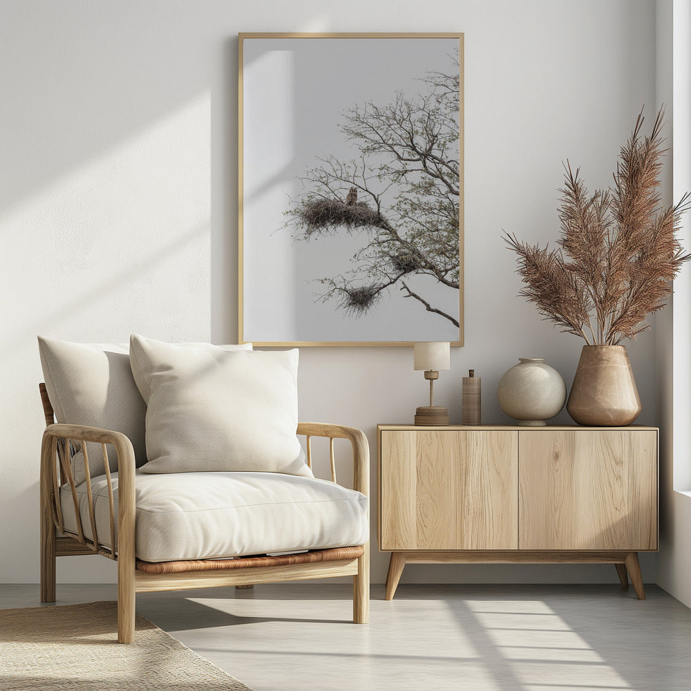 Owl's Perch | Poster