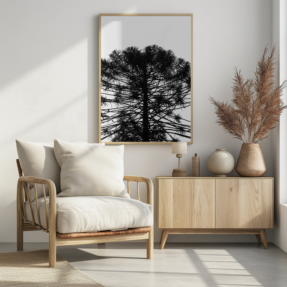 Silhouetted Symmetry | Poster