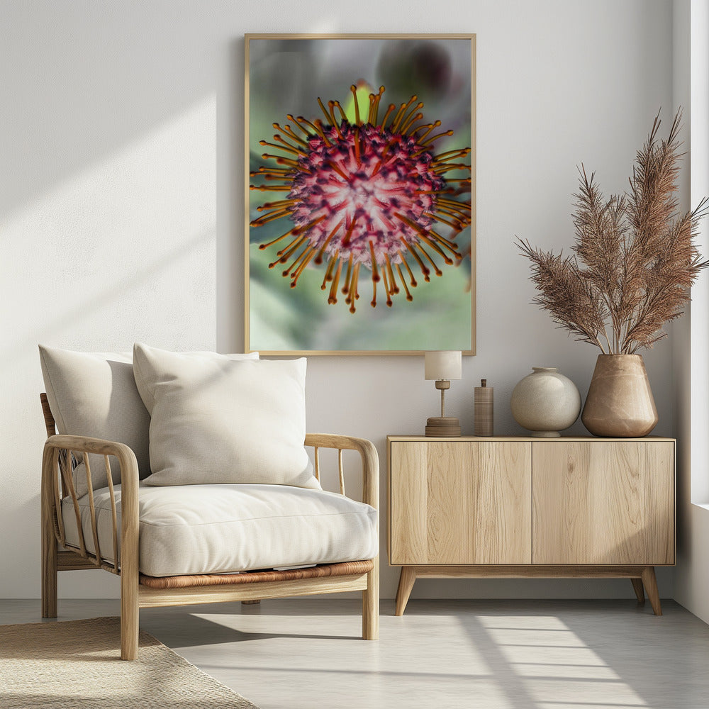 Blooming Radiance | Poster