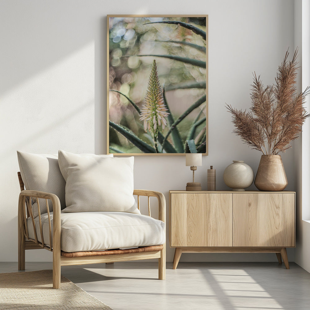 Succulent Serenity | Poster