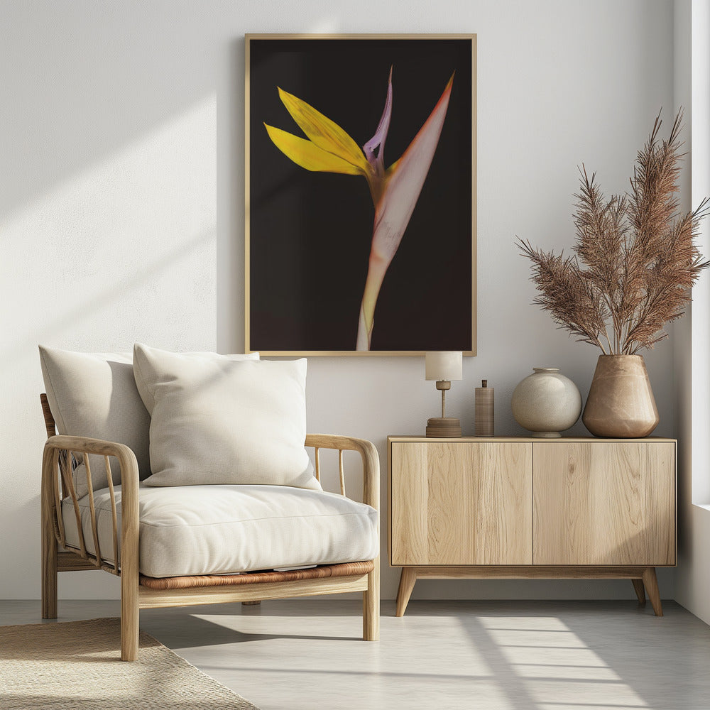 Exotic Blossom Glow | Poster