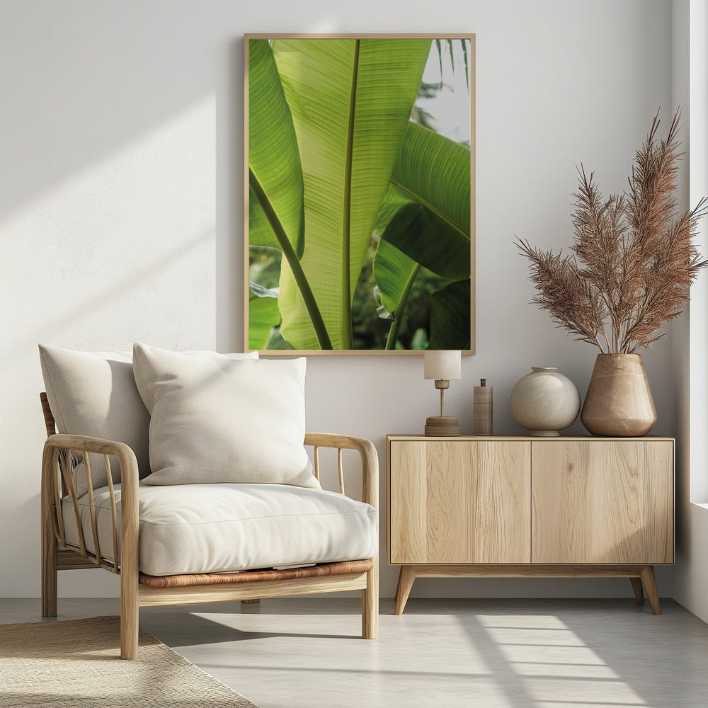 Tropical Banana Leaves | Poster