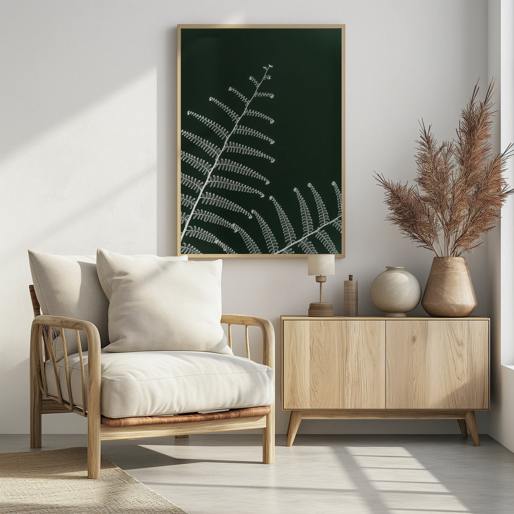Fern's Gentle Curve | Poster