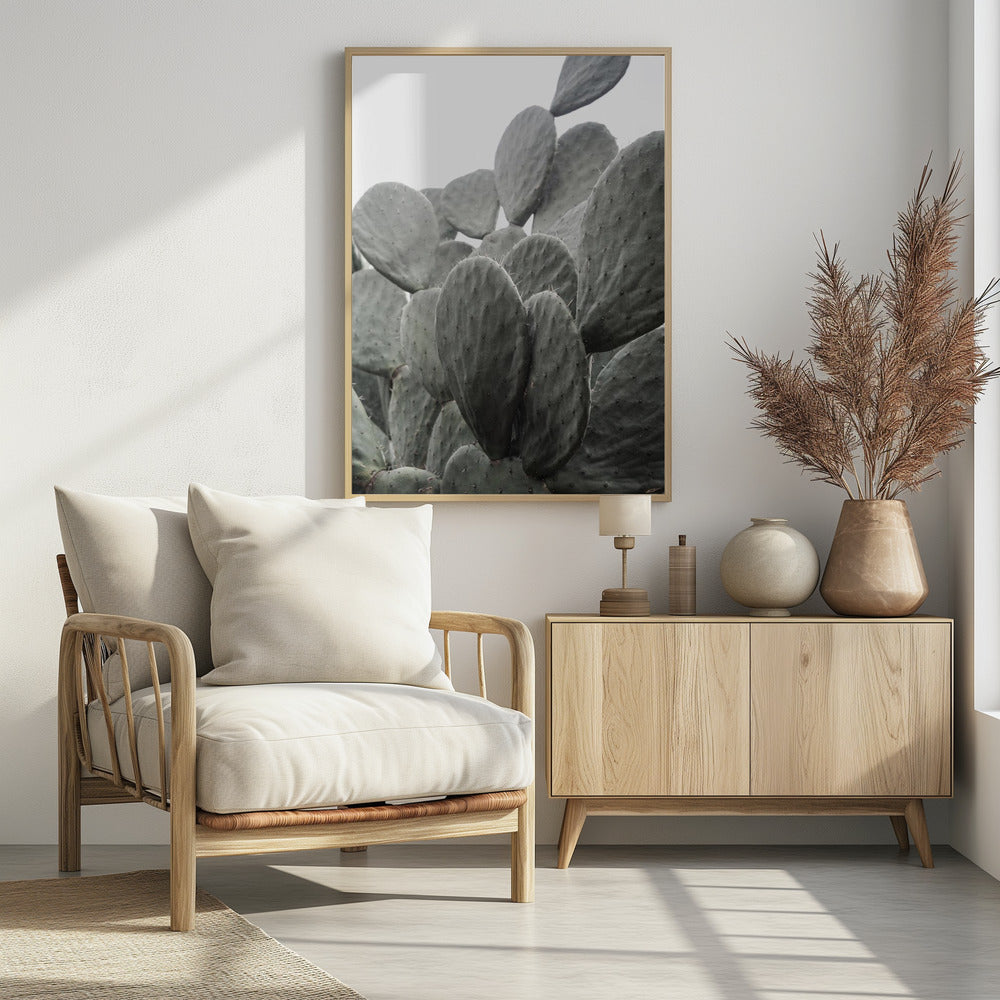 Beauty Of Cactus | Poster