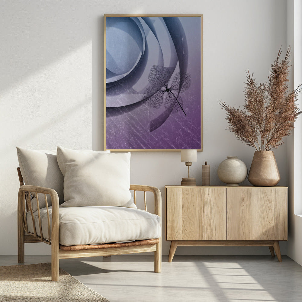 Hydrangea | Poster