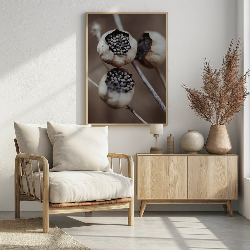 Nature's Capsules | Poster
