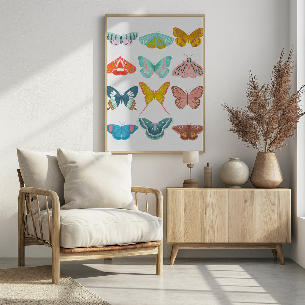 Butterfly | Poster