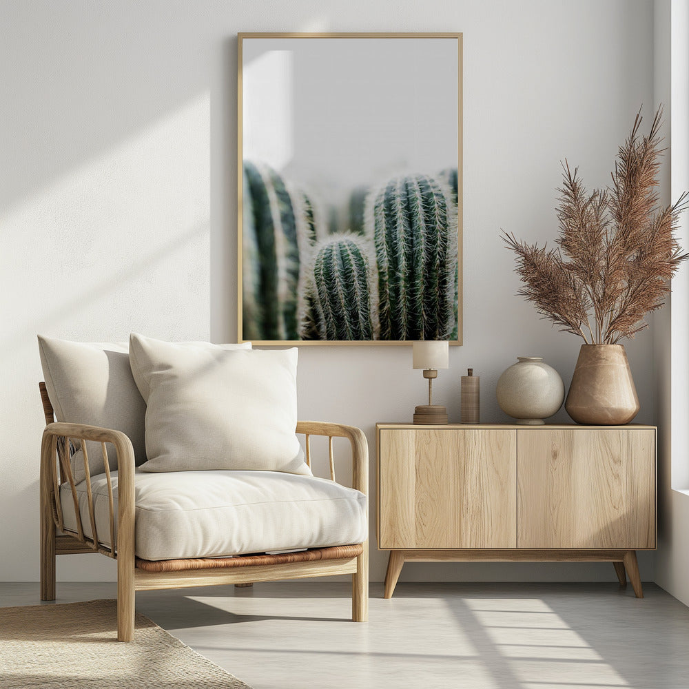 Cactus 1 | Poster