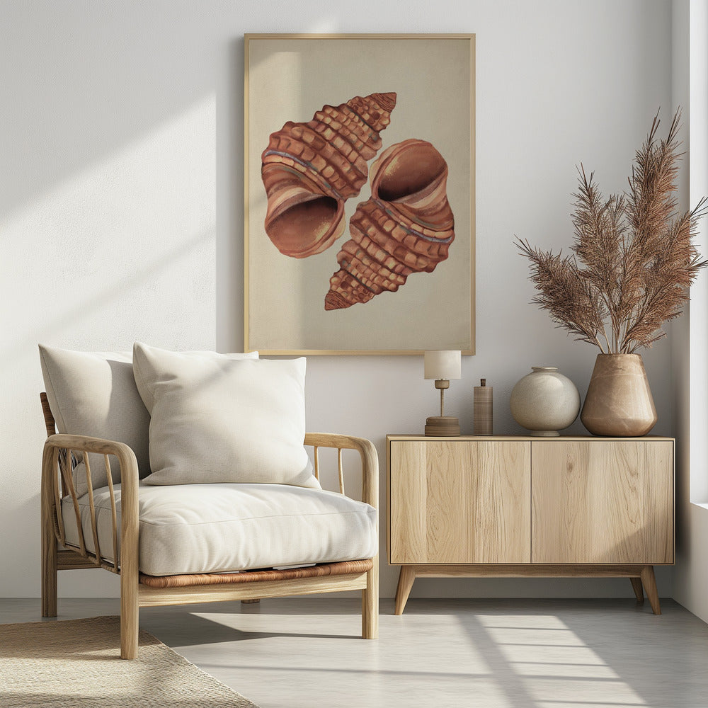 Seashell vintage | Poster