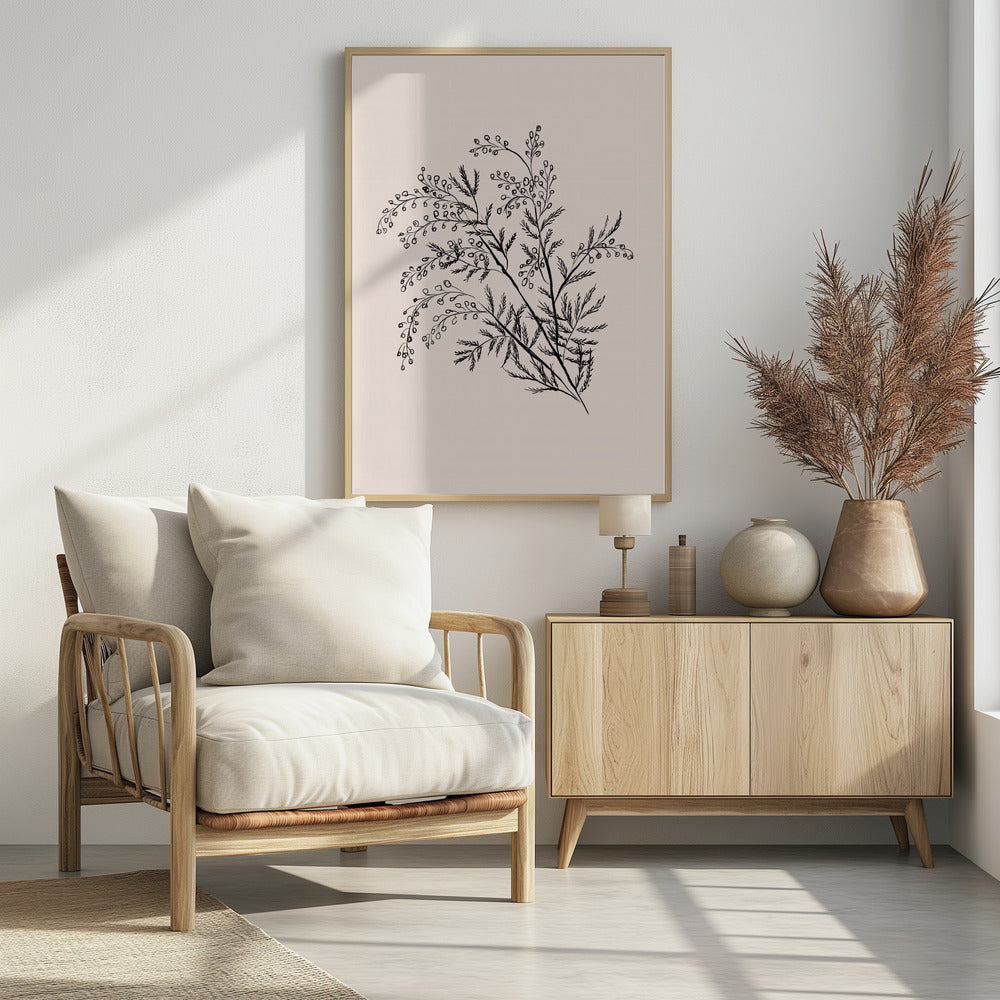 Acacia Botanical Branch | Poster