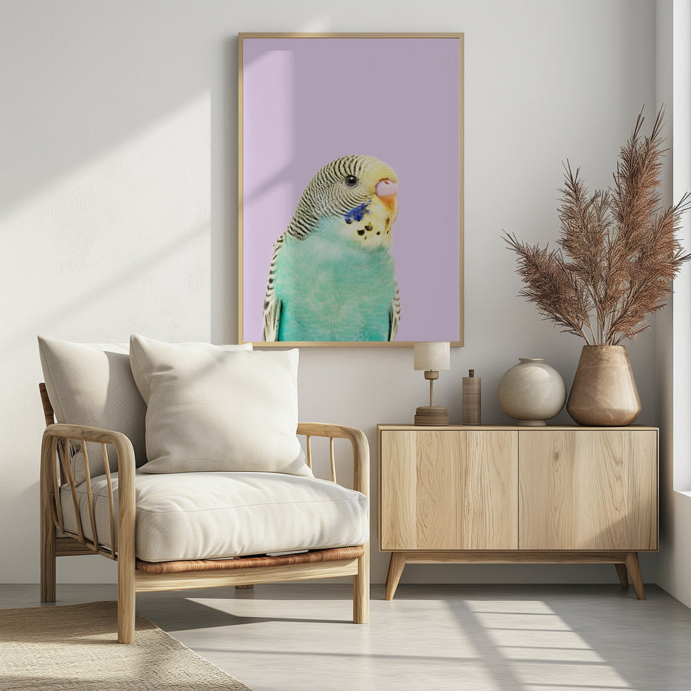 Badgie | Poster