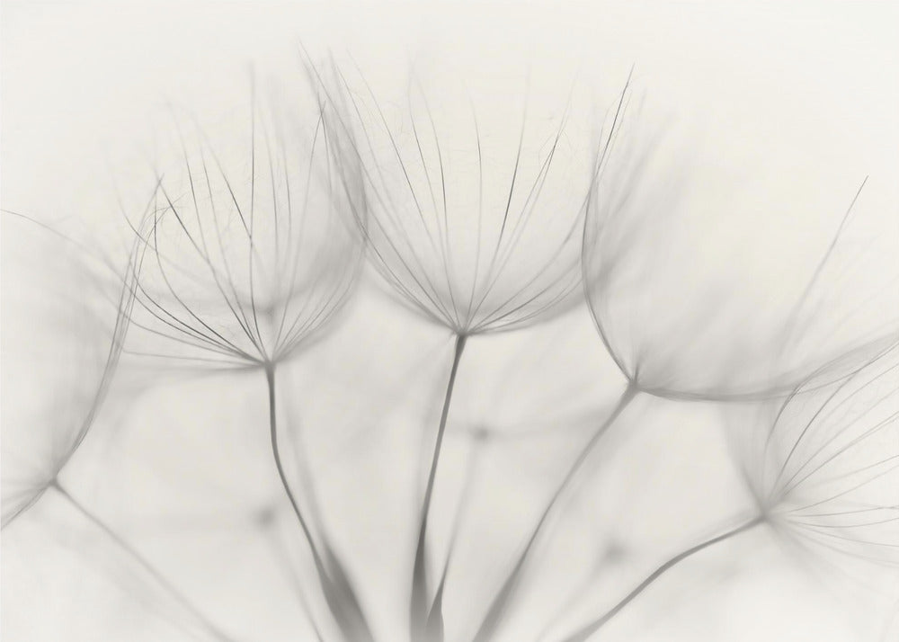 No title | Canvas