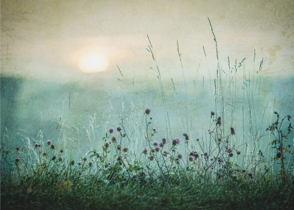 Autumn sunrise | Poster
