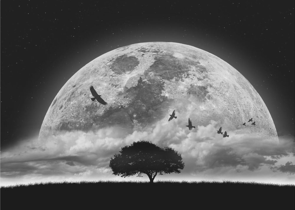 A Dream | Canvas
