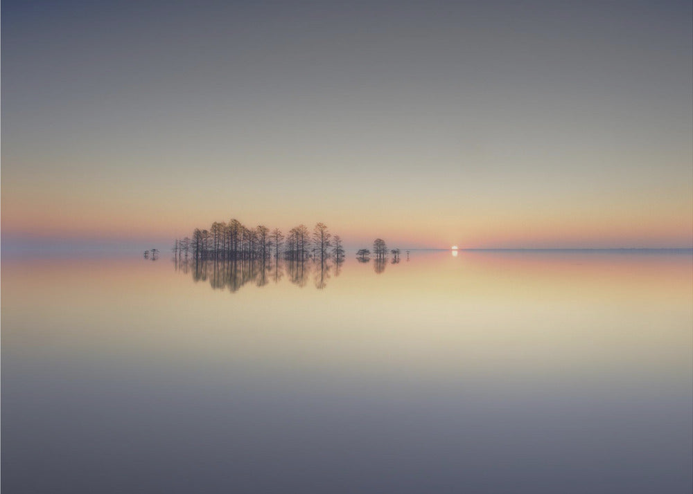 Lake Mattamuskeet Memory | Canvas