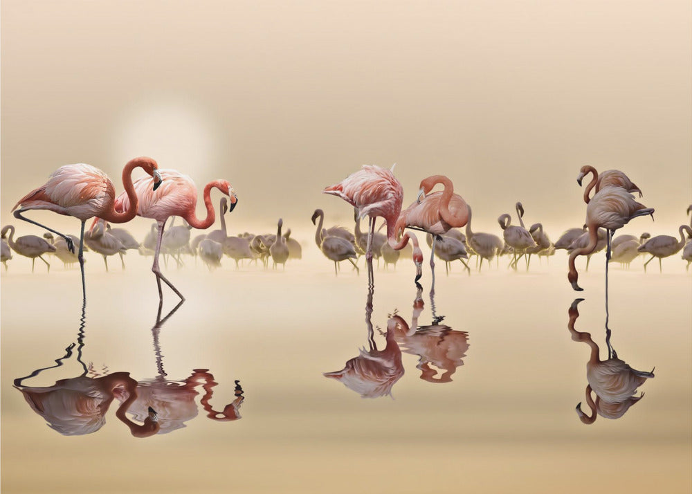 FLAMINGOS | Canvas