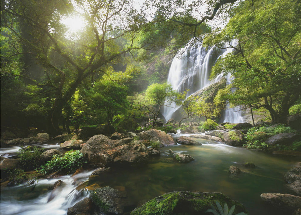 Mountain stream | Poster