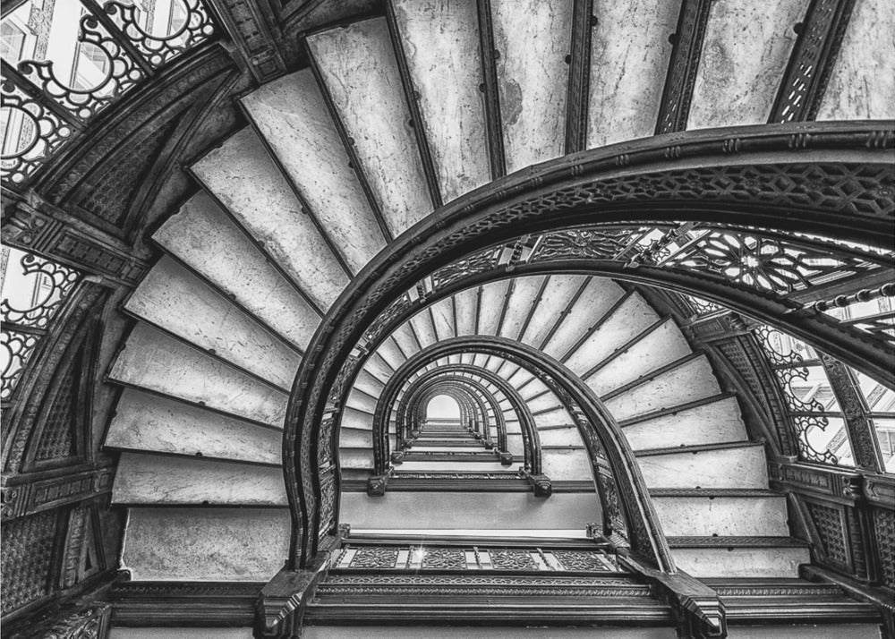 The Rookery | Canvas