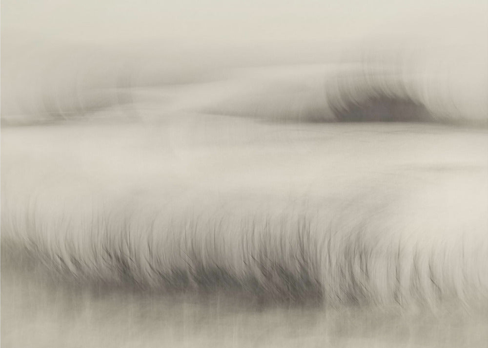 Waterside | Canvas