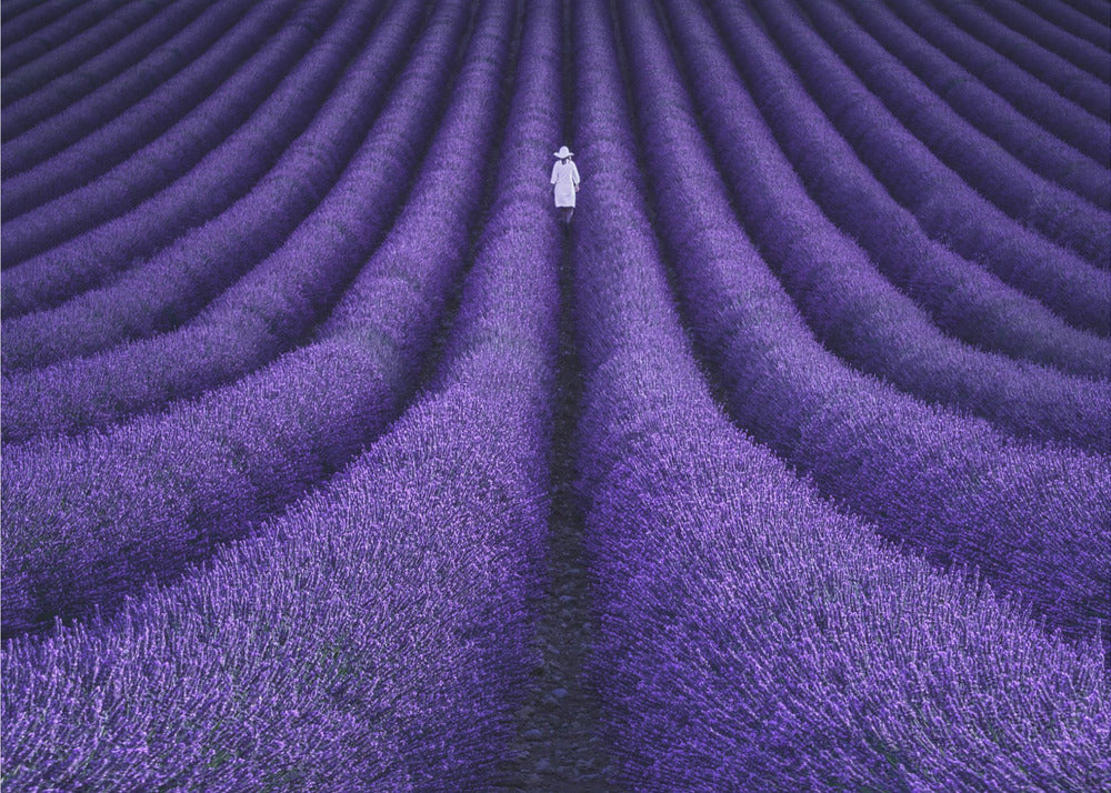 SHE | Canvas