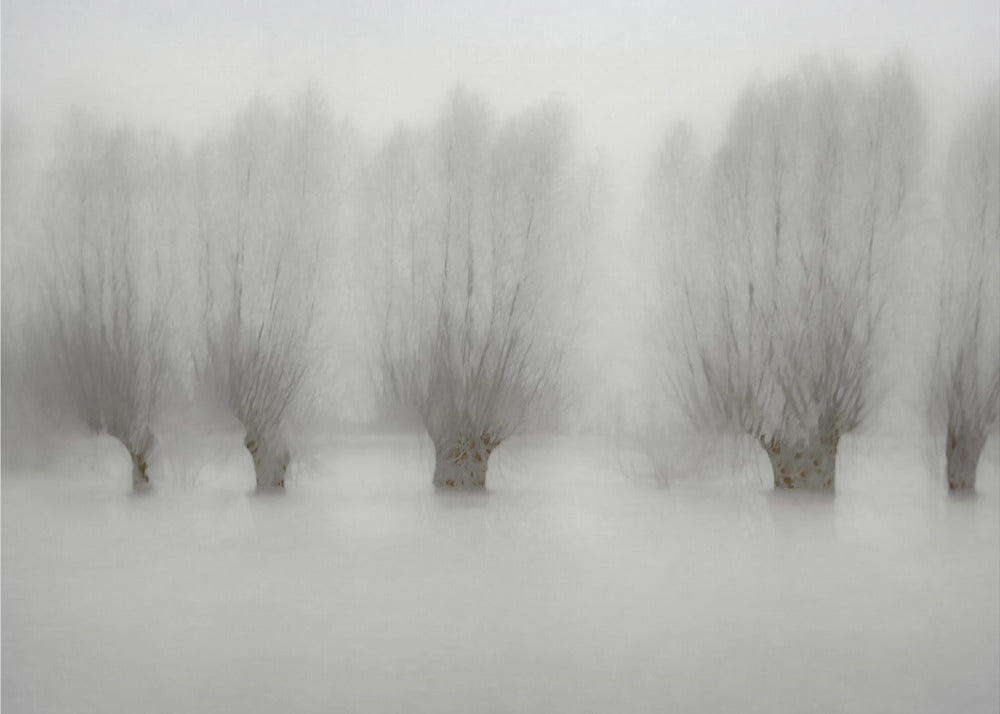 High water | Canvas