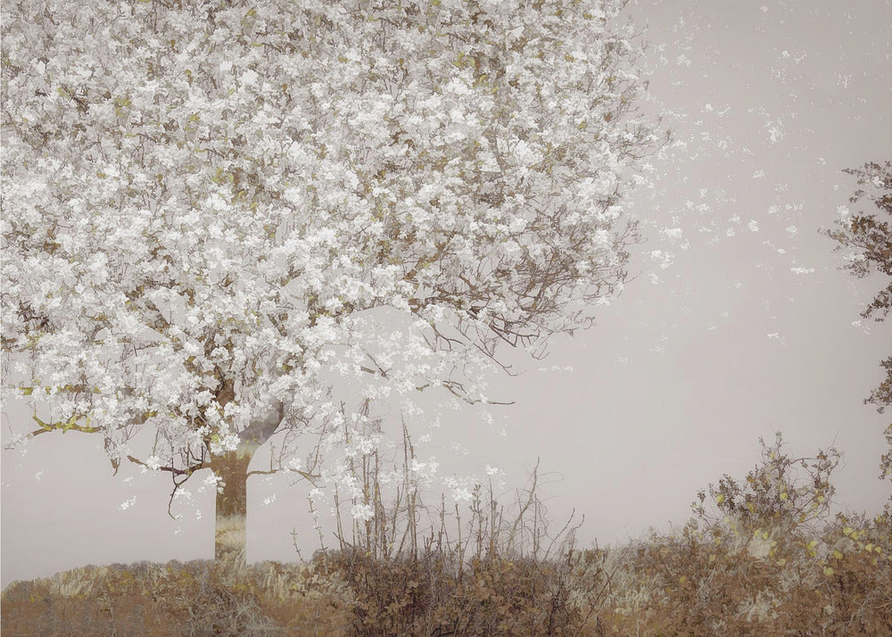 Fruit tree | Canvas