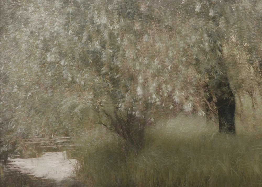 At the riverbank | Poster