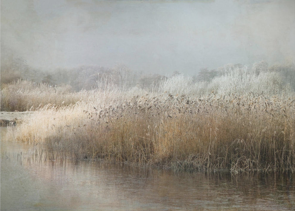 Wintermorning | Canvas