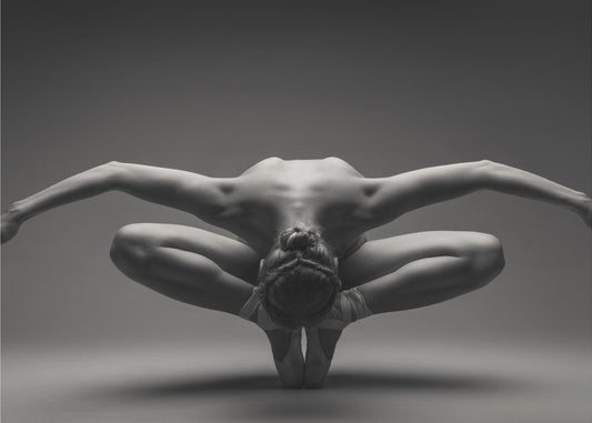 Deep Bow 6156 | Canvas