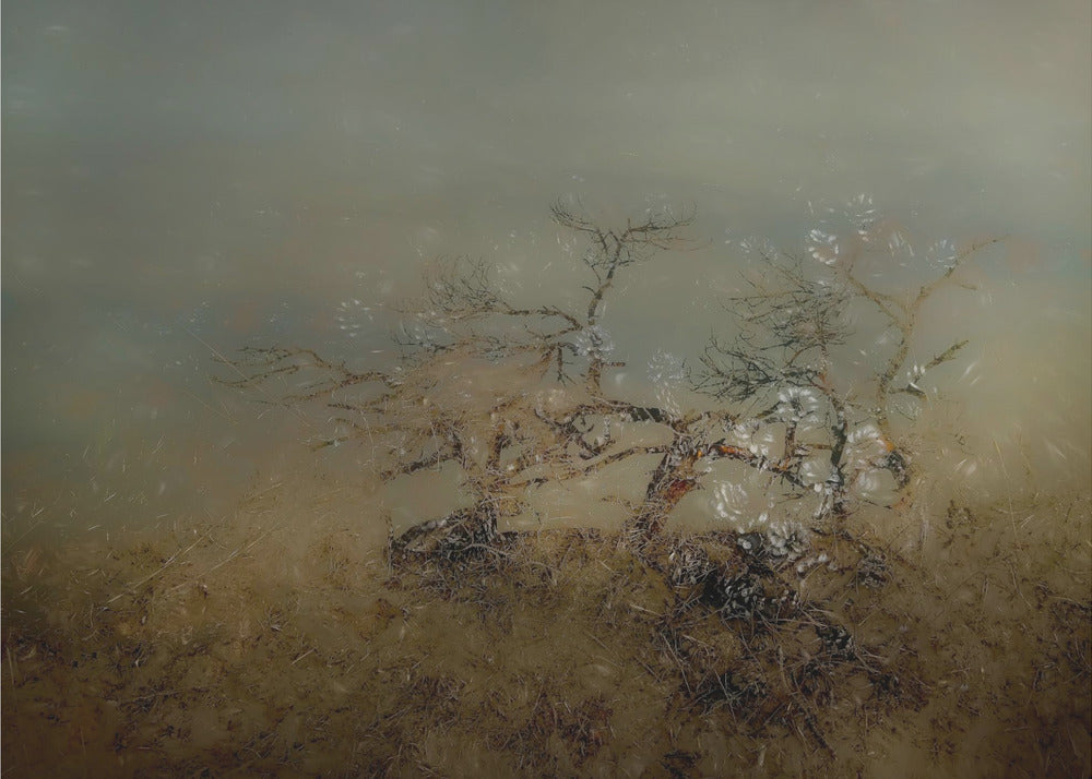 Old tree | Canvas