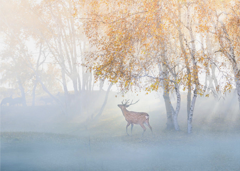 Elk Lost in Mist | Canvas