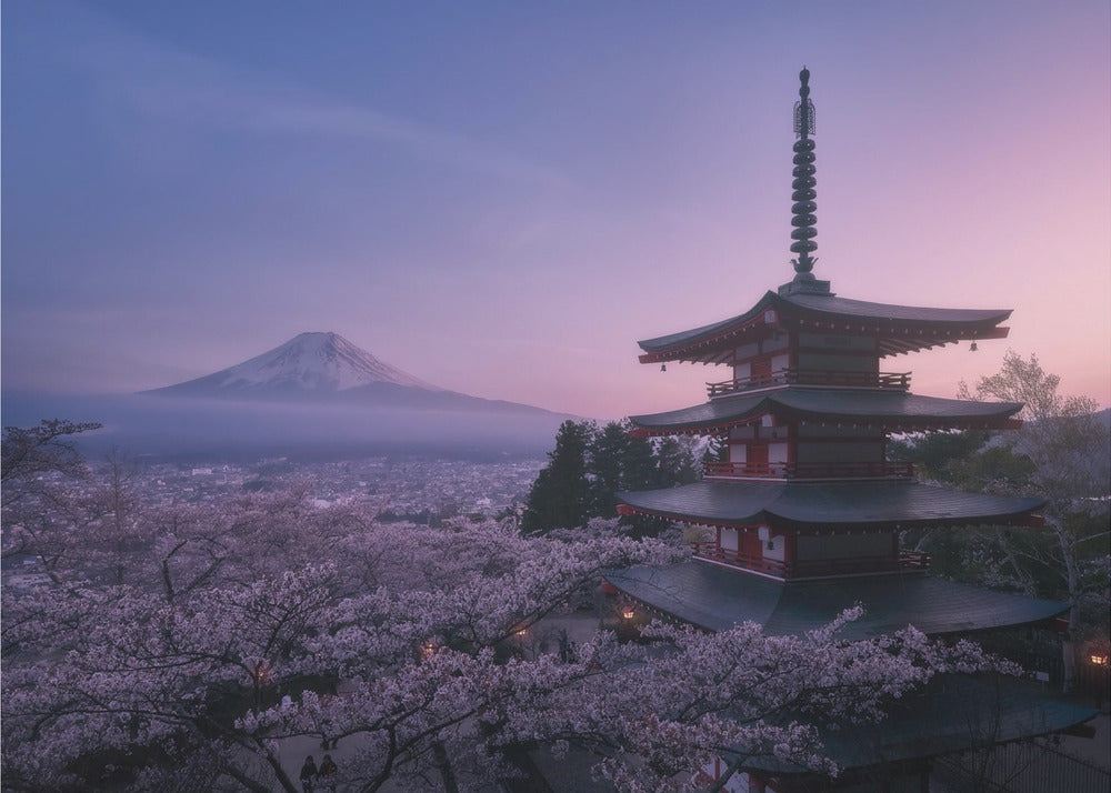 Mt Fuji Sakura | Poster
