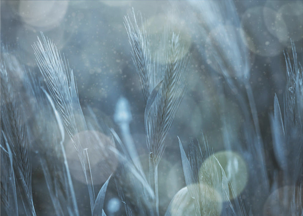 Fantastic Nature | Poster