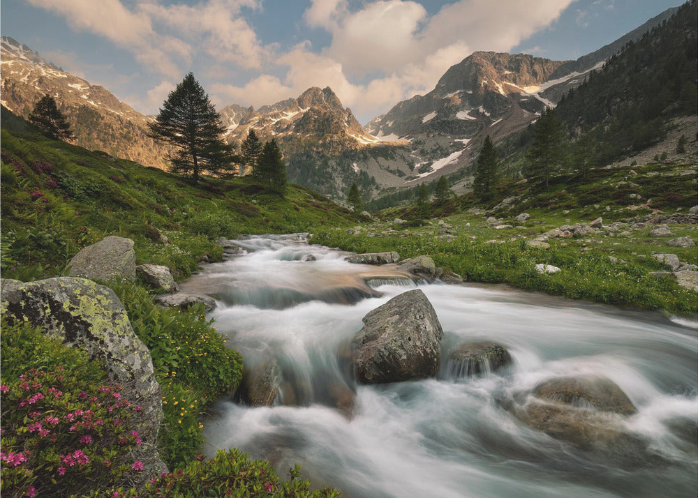 Maritime Alps Park | Poster