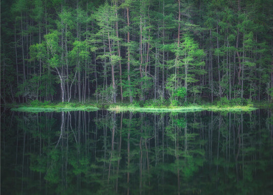 Green World | Canvas