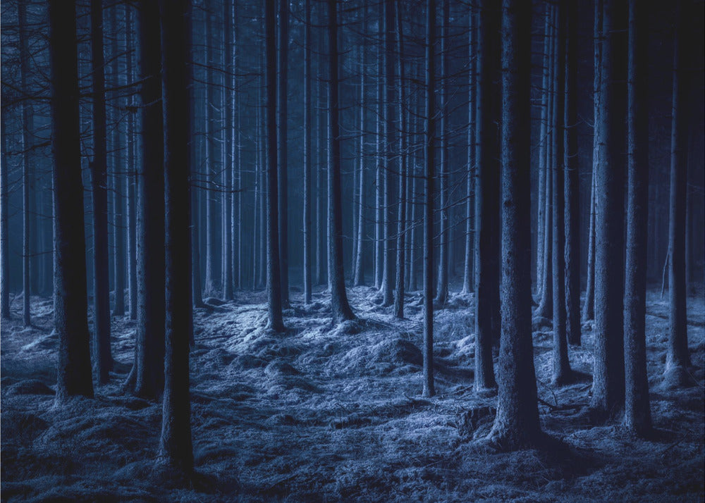 Spooky | Canvas